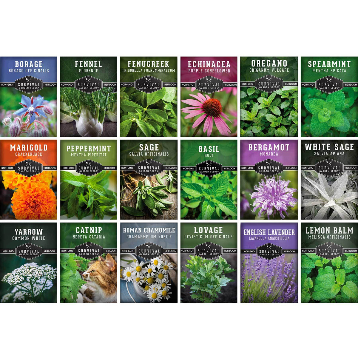 Set de semințe de plante medicinale și aromatice