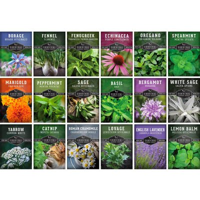 Set Semințe de Plante Medicinale și Aromatice – Farmacia Naturii în Grădina Ta